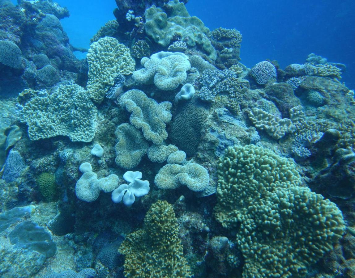 Lily Pad Lodge Bambou Kültér fotó